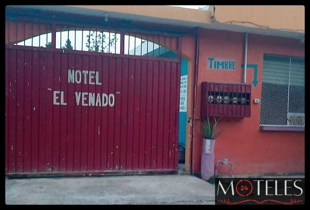 Motel El Venado en Chetumal Quintana Roo Motel El Venado en Chetumal Quintana Roo