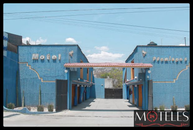 Motel Flamingos en Oaxaca de Juarez