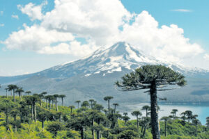araucania chile