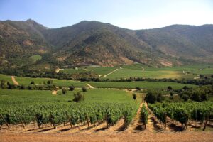 maule chile