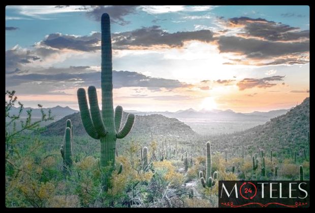 moteles en sonora moteles en sonora